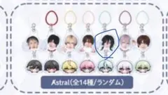れ 様専用ページ