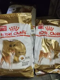 ロイヤルカナン 柴犬 成犬用 8kg×2袋 - メルカリ
