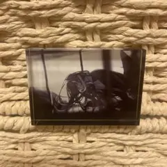 Ado アクリルブロック　心臓のサムネイル