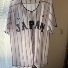 Mizuno JAPAN ユニフォーム ストライプ