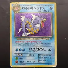 2026年最新】わるいギャラドスの人気アイテム - メルカリ