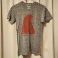 MOLLUSK モラスク greenroom Tシャツ グリーンルーム グレー