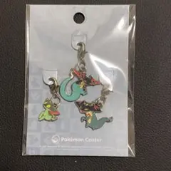 ポケモンセンター 全国ずかんメタルチャーム ドラメシヤ ドロンチ ドラパルト