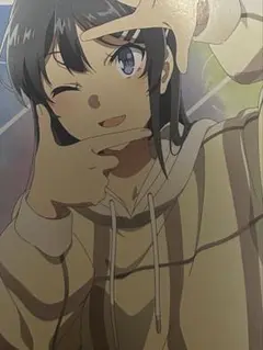 専用