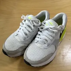 Nike Air Max スニーカー 23㎝