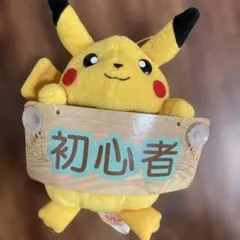 ピカチュウ ぬいぐるみ 初心者　吸盤　マスコット