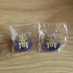 ⭐︎ハイキュー　10周年記念展スクールピンズ校章　森然高校　生川高校