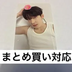 seventeen セブチ ウォヌ トレカ