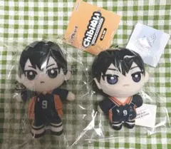 ハイキュー‼︎ 影山飛雄 cibiぬい ぬいパル