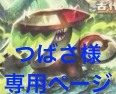 つばさ様　専用ページ　まとめ売り