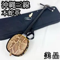 2026年最新】三味線 蛇の人気アイテム - メルカリ