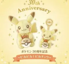 30周年記念 ピカチュウ マスコット&ぬいぐるみセット