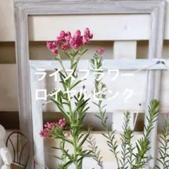 虹～紫陽花⭐様 リクエスト 2点 まとめ商品