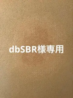 dbSBR様専用