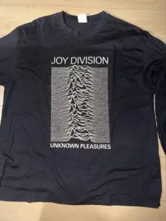 X-LARGE Joy Division パロディTシャツ（ビンテージ・激レア） a3b2ee1651ec2e0addac7fdf11bde2