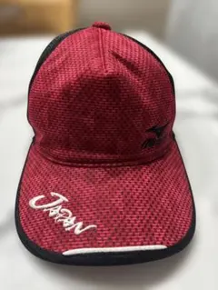 Item thumbnail for item a1e61d76-11f3-4a1d-befb-772c28b5783a