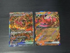 ポケモンカード オドリドリEX SAR オドリドリEX RR 2枚セット