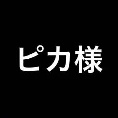 ピカ様 リクエスト 5点 まとめ商品