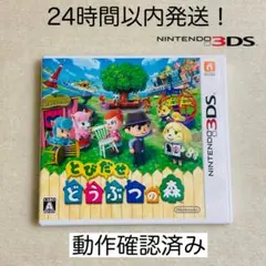 とびだせ どうぶつの森 3DS 動作確認済み - メルカリ