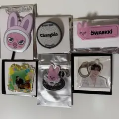 straykids チャンビン まとめ売り