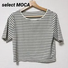 【美品】select MOCAリブ細目ボーダー半袖Tシャツ カットソー Free
