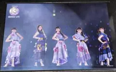 乃木坂46 ポストカード H-6 13th YEAR BIRTHDAY LIVE - メルカリ