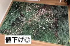 pluffy archive ラグ　韓国