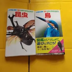 小学館の図鑑 NEO POCKET　昆虫　鳥　2冊セット