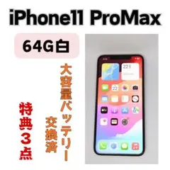 iPhone 11 Pro Max 64GB