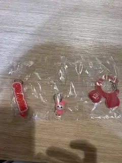 TWICE カラビナ　チェヨン