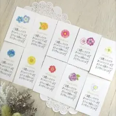 Wild Flowers様 リクエスト 2点 まとめ商品