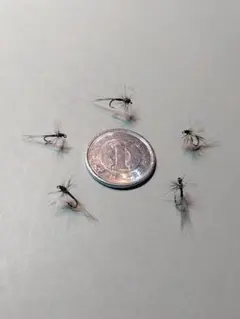 Item thumbnail for item 6482ce63-525f-4e00-b5cd-8e7f33ec4359