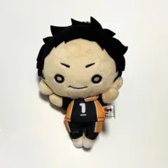 ハイキュー‼︎ 澤村大地 にとたん ぬいぐるみ ユニフォーム - メルカリ
