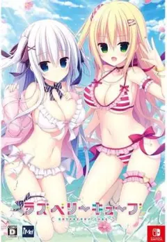 【新品・未使用】ラズベリーキューブ 初回限定特装版 - Switch