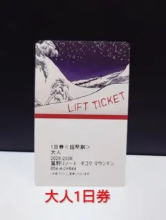2026年最新】ネコママウンテン リフト券の人気アイテム - メルカリ