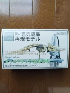 2026年最新】科博所蔵品 再現モデルの人気アイテム - メルカリ