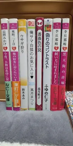 【BL文庫】いろいろ８冊④