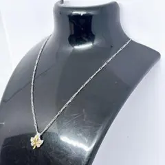 Item thumbnail for item 0127a94d-0cc1-4c90-aac4-7f4831d80d16