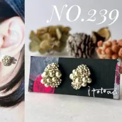 ハンドメイド　シルバービーズ刺繍　パール　小粒　　　イヤリング　ピアス