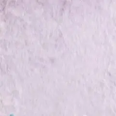 オオトリ様専用