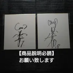中野蘭疇　「静晏」　日展特選、審査員￼額41.8×38.7色紙27×24cm 1.全日本ロードレース選手権 三好菜摘 岡崎静夏 サイン色紙 2点セット
