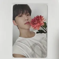 SEVENTEEN トレカ ホシ 17 is right here