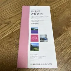 東急不動産ホールディングス　 500株以上　株主優待券