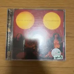 THE YELLOW MONKEY PUNCH DRUNKARD