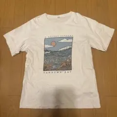 UNIQLO ハナウマベイ プリントTシャツ ホワイト　ハワイ