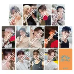 SEVENTEEN セブチ 会場限定 トレカ バンテリンドーム 名古屋 コンプ