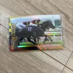 アスコリピチェーノ16/16 カードおまけ有 競馬 ホースレーシングカード 