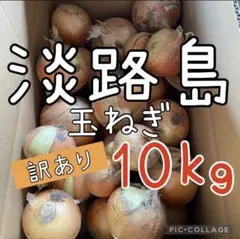 七宝早生♦︎秀品3Lサイズ10Kg ♦︎淡路島新玉ねぎ たまねぎ 玉葱