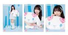 イコラブ ＝LOVE 生写真 シナモンロールコラボ2025 コンプ 山本杏奈