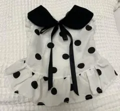 ドット　犬　洋服　SSサイズ　子犬のサムネイル